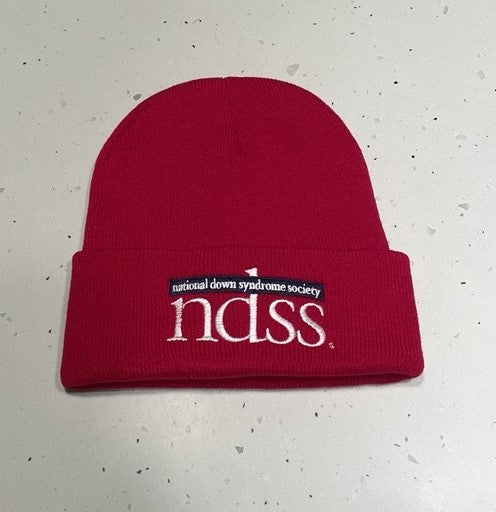 NDSS Logo Beanie